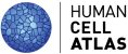 Human Cell Atlas Logo
